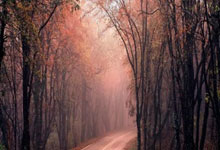 杏彩体育:里程碑,赵宏略达成中国俱乐部各项赛事300次出场.