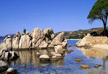 杏彩体育:內馬爾美洲杯連續3戰進球+助攻.